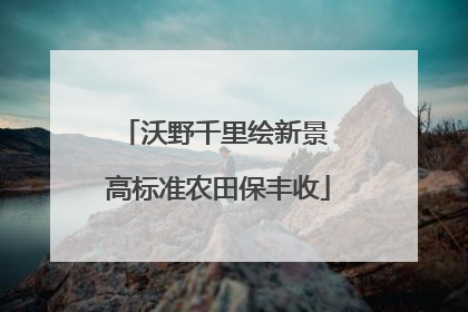 沃野千里绘新景 高标准农田保丰收