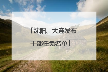 沈阳、大连发布干部任免名单
