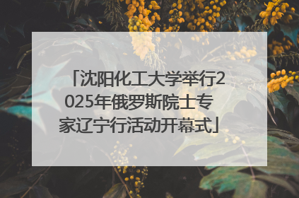 沈阳化工大学举行2025年俄罗斯院士专家辽宁行活动开幕式