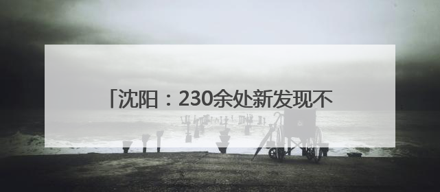 沈阳：230余处新发现不可移动文物重现城市记忆