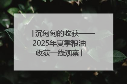 沉甸甸的收获——2025年夏季粮油收获一线观察