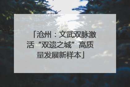 沧州：文武双脉激活“双遗之城”高质量发展新样本