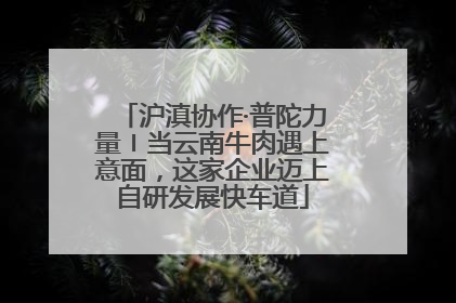 沪滇协作·普陀力量〡当云南牛肉遇上意面，这家企业迈上自研发展快车道