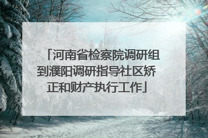 河南省检察院调研组到濮阳调研指导社区矫正和财产执行工作