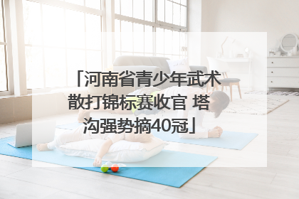 河南省青少年武术散打锦标赛收官 塔沟强势摘40冠