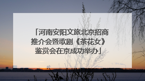 河南安阳文旅北京招商推介会暨歌剧《茶花女》鉴赏会在京成功举办