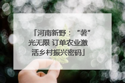 河南新野：“薯”光无限 订单农业激活乡村振兴密码