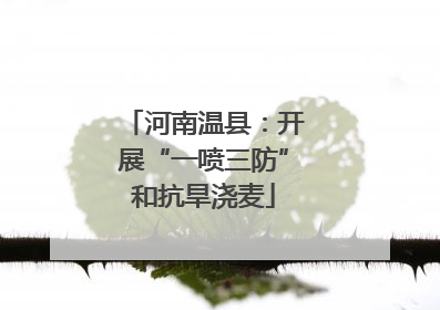 河南温县：开展“一喷三防”和抗旱浇麦