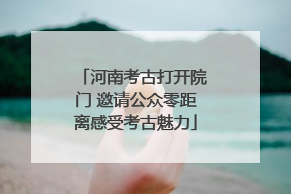 河南考古打开院门 邀请公众零距离感受考古魅力