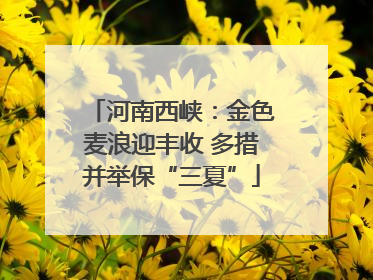 河南西峡：金色麦浪迎丰收 多措并举保“三夏”