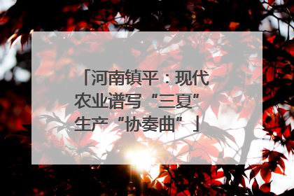 河南镇平：现代农业谱写“三夏”生产“协奏曲”