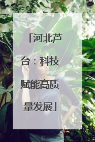 河北芦台：科技赋能高质量发展