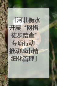 河北衡水开展“网格徒步踏查”专项行动 推动城市精细化管理