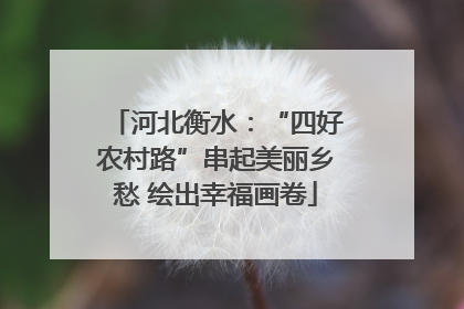 河北衡水：“四好农村路”串起美丽乡愁 绘出幸福画卷