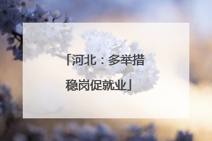 河北：多举措稳岗促就业