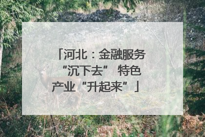 河北：金融服务“沉下去” 特色产业“升起来”