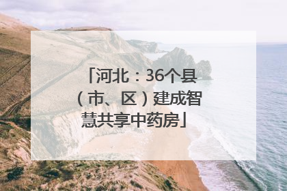 河北：36个县（市、区）建成智慧共享中药房