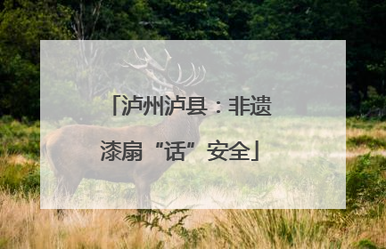 泸州泸县：非遗漆扇“话”安全