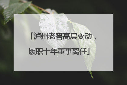 泸州老窖高层变动，履职十年董事离任