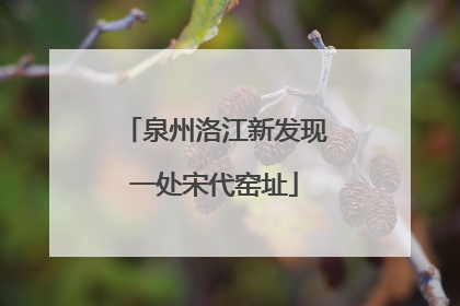 泉州洛江新发现一处宋代窑址