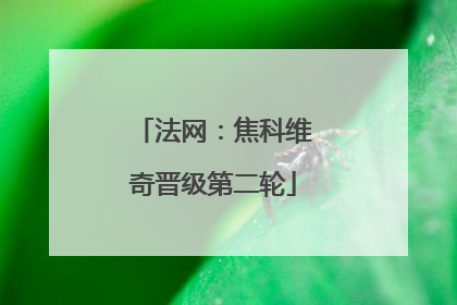 法网：焦科维奇晋级第二轮