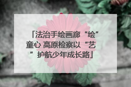法治手绘画廊“绘”童心 高原检察以“艺”护航少年成长路