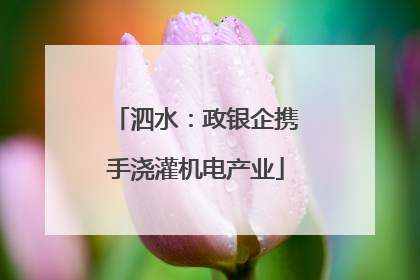 泗水：政银企携手浇灌机电产业