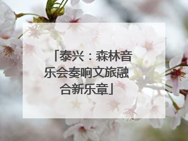 泰兴：森林音乐会奏响文旅融合新乐章