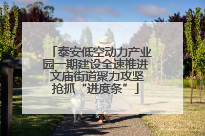 泰安低空动力产业园一期建设全速推进 文庙街道聚力攻坚抢抓“进度条”