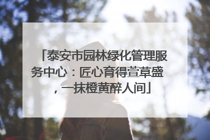 泰安市园林绿化管理服务中心：匠心育得萱草盛，一抹橙黄醉人间