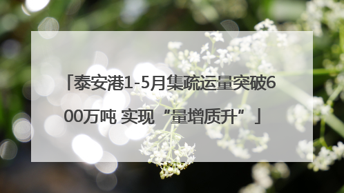 泰安港1-5月集疏运量突破600万吨 实现“量增质升”