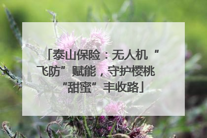 泰山保险：无人机“飞防”赋能，守护樱桃“甜蜜”丰收路