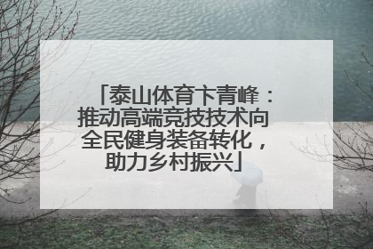 泰山体育卞青峰：推动高端竞技技术向全民健身装备转化，助力乡村振兴