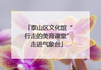 泰山区文化馆“行走的美育课堂”走进气象台