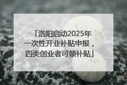 洛阳启动2025年一次性开业补贴申报，四类创业者可领补贴