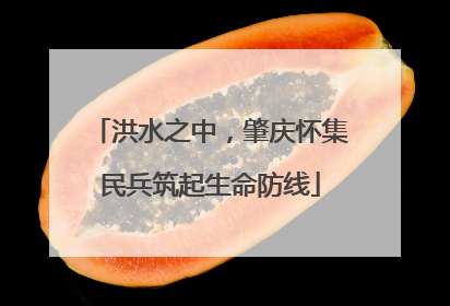 洪水之中，肇庆怀集民兵筑起生命防线