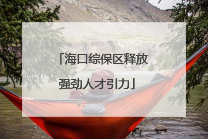 海口综保区释放强劲人才引力