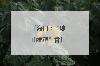 海口：“琼山福稻”香
