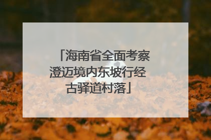 海南省全面考察澄迈境内东坡行经古驿道村落