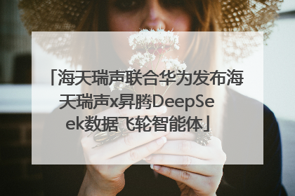 海天瑞声联合华为发布海天瑞声x昇腾DeepSeek数据飞轮智能体