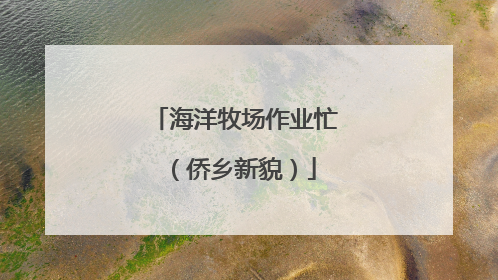 海洋牧场作业忙（侨乡新貌）