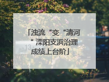 浊流“变“清河“ 溧阳支浜治理成绩上台阶