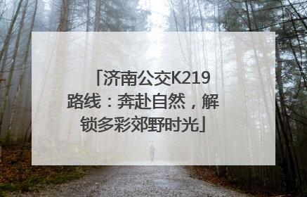 济南公交K219路线：奔赴自然，解锁多彩郊野时光