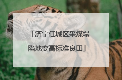 济宁任城区采煤塌陷地变高标准良田