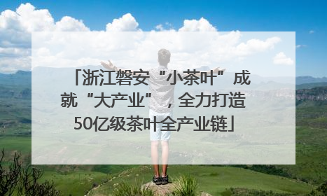 浙江磐安“小茶叶”成就“大产业”，全力打造50亿级茶叶全产业链