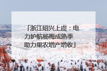 浙江绍兴上虞：电力护航杨梅成熟季 助力果农增产增收
