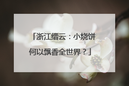 浙江缙云：小烧饼何以飘香全世界？