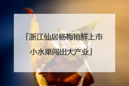 浙江仙居杨梅抢鲜上市 小水果闯出大产业