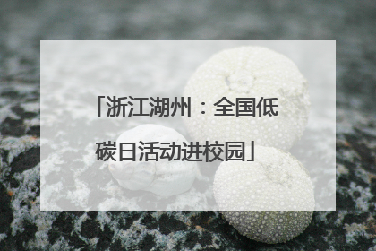 浙江湖州：全国低碳日活动进校园