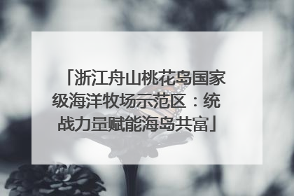 浙江舟山桃花岛国家级海洋牧场示范区：统战力量赋能海岛共富